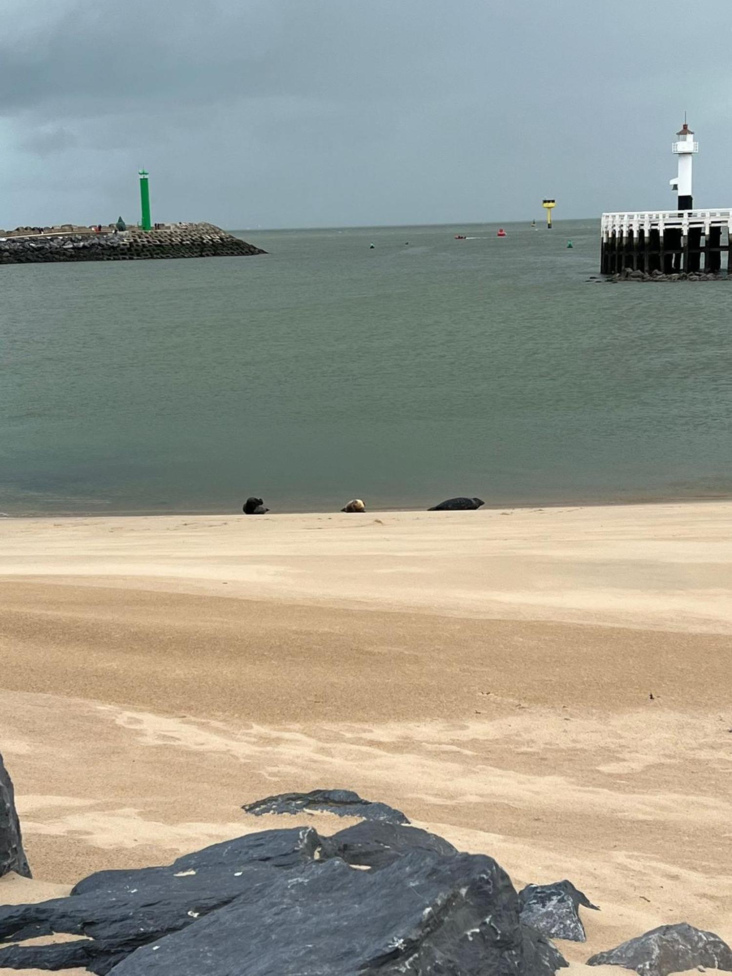 Bonelly Apartman Ostende Kültér fotó